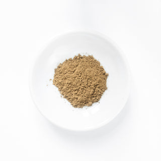 ほうじ茶パウダー（10本入り）