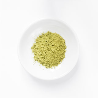 煎茶パウダー（10本入り）